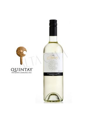 Vino Quintay Clava Sauvignon Blanc